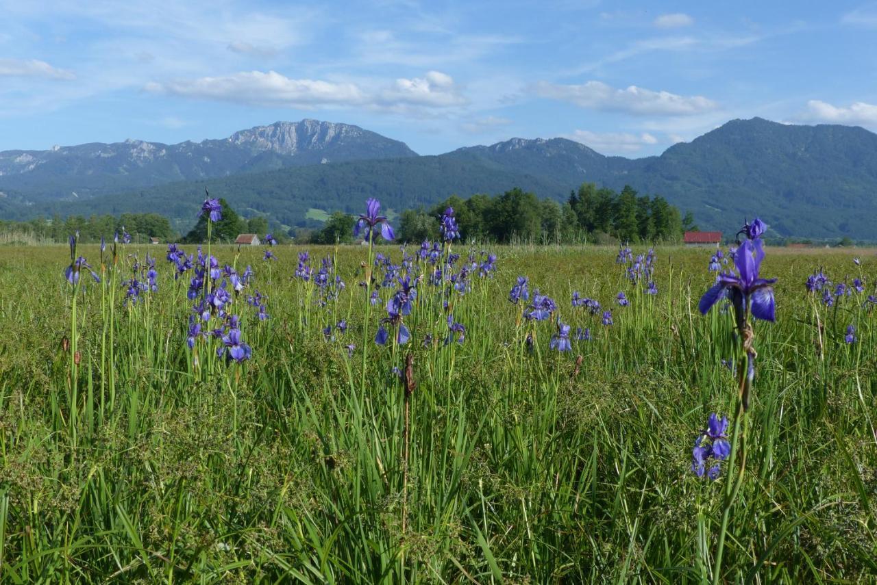 Zentrum Fuer Umwelt Und Kultur - Gaestehaus Und Jugendbildungseinrichtung Im Maierhof Benediktbeuern Luaran gambar